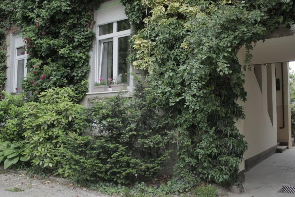 Apartment ✯genius Apartment✯fullyequipped✯parking